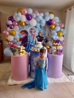 Frozen Birthday Decorations with Round Backdrop
