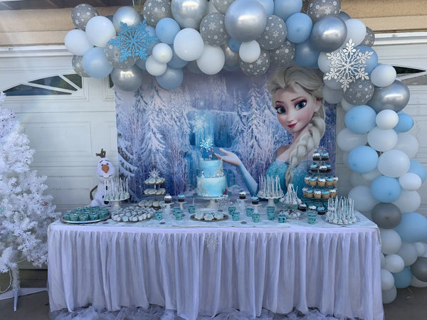 Frozen Décor Package with rectangular Backdrop