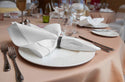 White Cloth Napkins 17 by 17 Inch